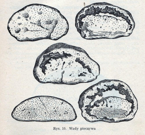 Dołączona grafika