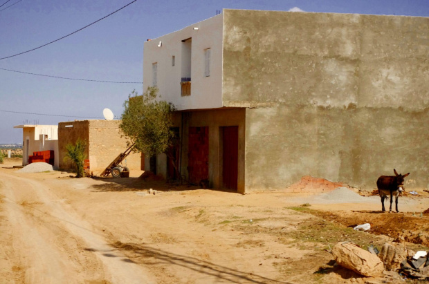 Sahel; nowocześność w domu i zagrodzie.