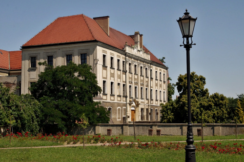 Zamek Książąt Głogowskich (był już w moich szkolnych latach) #Głogów