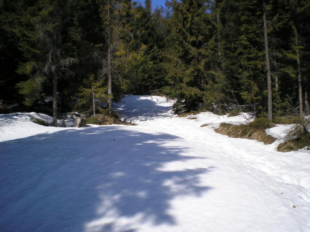 Śnieg ma się jeszcze dobrze - na szlaku z Wilczyc na Ćwilin #góry #beskidy #BeskidWyspowy #ćwilin