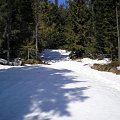 Śnieg ma się jeszcze dobrze - na szlaku z Wilczyc na Ćwilin #góry #beskidy #BeskidWyspowy #ćwilin
