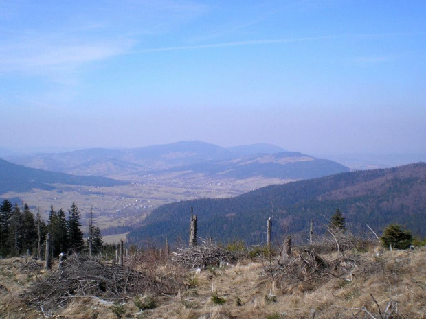 Wierzbanowska Góra, Lubomir i Kamiennik spod Ćwilina (przy żółtym szlaku do Mszany Dolnej) #góry #beskidy #BeskidWyspowy #ćwilin