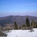 Snieżnica spod Ćwilina (przy żółtym szlaku do Mszany Dolnej) #góry #beskidy #BeskidWyspowy #ćwilin