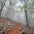 Bieszczady Październik 2011 #bieszczady #góry