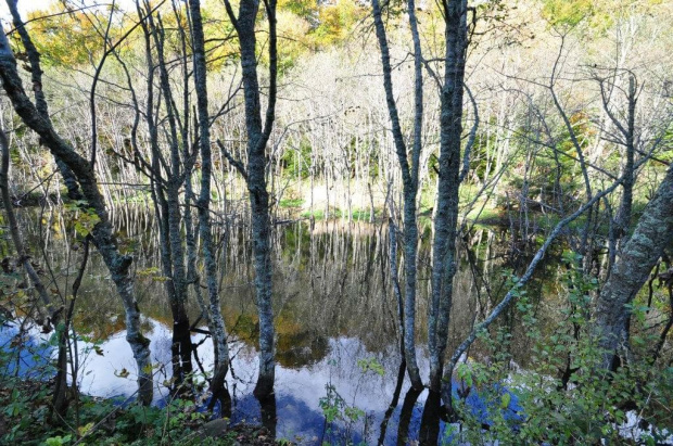 Bieszczady Październik 2011 #bieszczady #góry