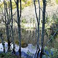 Bieszczady Październik 2011 #bieszczady #góry