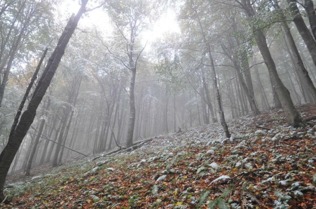 Bieszczady Październik 2011 #bieszczady #góry