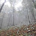 Bieszczady Październik 2011 #bieszczady #góry