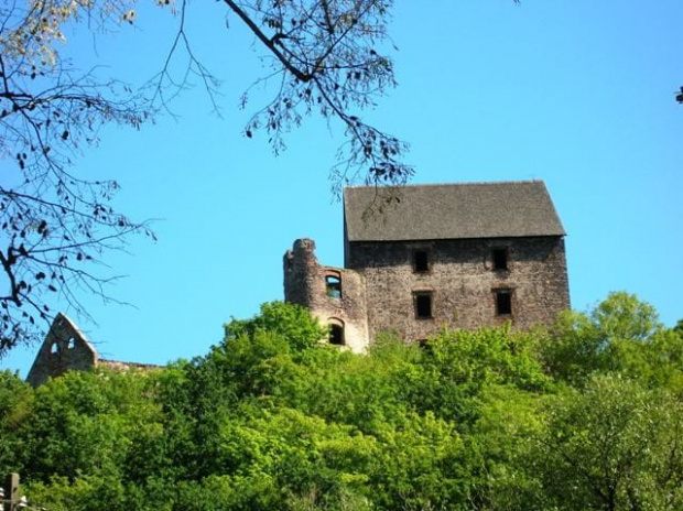 Zamek w Świnach (dolnośląskie)