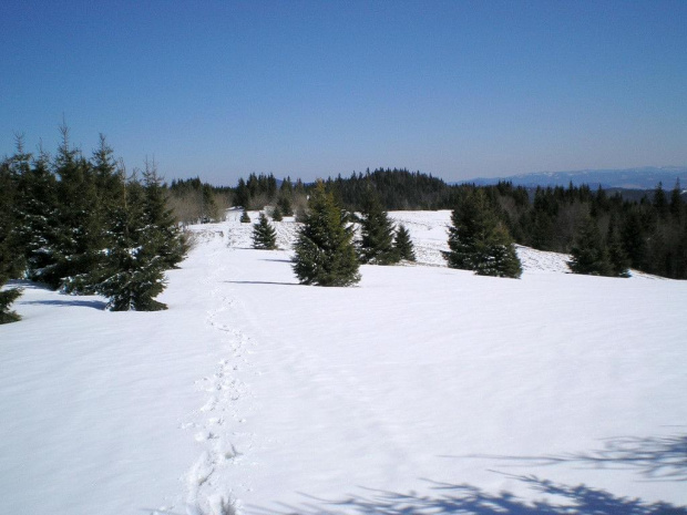 Polana na Magurkach #góry #beskidy #gorce #magurki