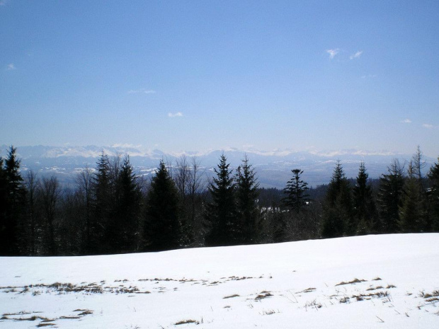 Tatry Zachodnie z Magurek #góry #beskidy #gorce #magurki