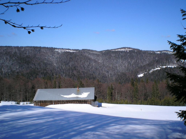 Na polanie Szlagowej - widok na Przysłop #góry #beskidy #gorce #magurki