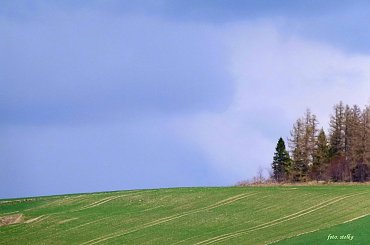 z moich rodzinnych stron ... :)) #Chomiąża #lasy #łąki #pola #wieś