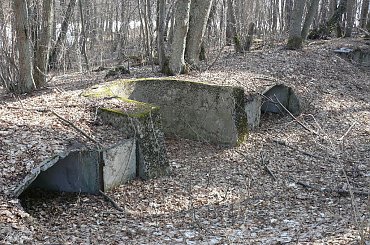 Szlakiem węzła obronnego Ruciane - Guzianka #Guzianka #Ruciane