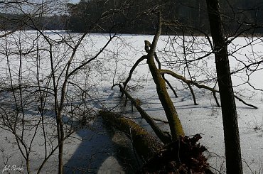 Szlakiem węzła obronnego Ruciane - Guzianka #Guzianka #Ruciane