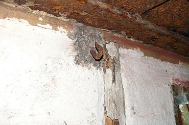 Szlakiem węzła obronnego Ruciane - Guzianka #Guzianka #Ruciane