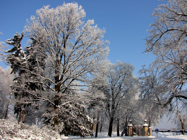 Książ zimą