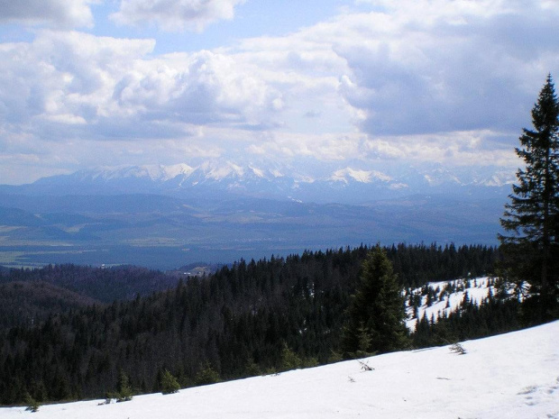 Tatry Wysokie z Hali Młyńskiej #góry #beskidy #gorce #turbacz