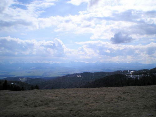 Tatry Zachodnie z Długiej Hali #góry #beskidy #gorce #turbacz