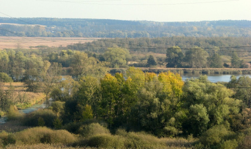 Widok na Odrę i kanały ze wzgórza widokowego.