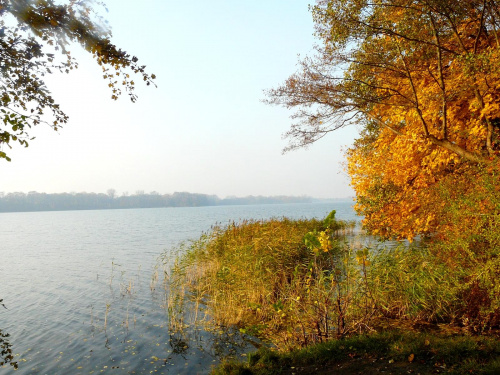 Jezioro Kierskie, okolice Poznania. #jeziora