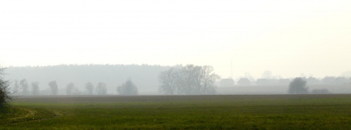 Jesienne mgły nad łąką. #krajobrazy
