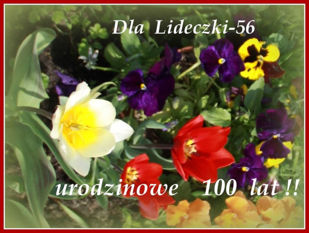 Wszystkiego najlepszego z okazji urodzin Lideczko ! 100 lat w zdrowiu i szczęściu, pogody ducha i pięknych kadrów Ci życzę ;