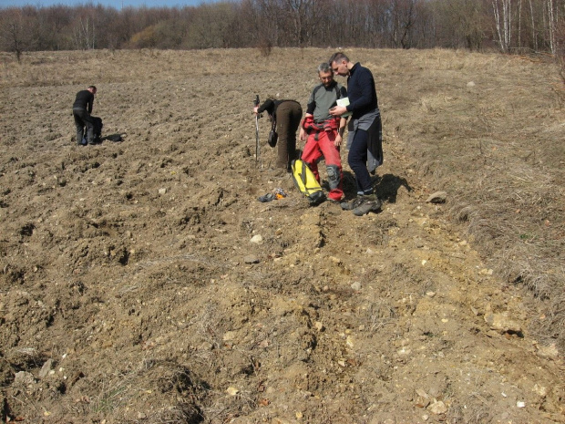 Zbieramy opale na polu ornym :)