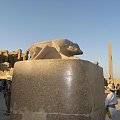 Karnak - Zespół świątynny. Skarabeusz #Egipt #Karnak