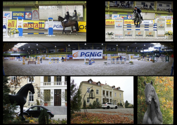 Halowe Zawody Ogólnopolskie 3 *
I Kwalifikacje Halowego Pucharu Polski
edycji 2011 / 2012
oraz HPP kategorii OPEN C i Bussines
21 - 23 Października 2011
Jaszkowo