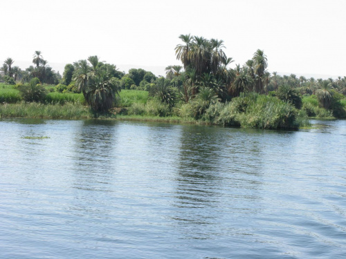 Nil #Egipt #Nil