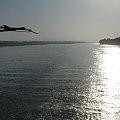 Promienie słońca odbite w Nilu #Egipt #Nil #Słońce