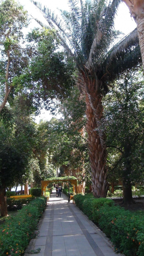 Asuan - Ogród botaniczny Kitchenera #Asuan #Egipt #Kitchener
