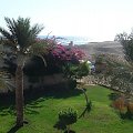 Widok z okna z Hotelu Triton Sea Beach #Egipt #MarsaAlam #TritonSeaBeach