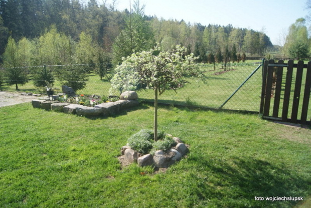 trochę wiejskiego klimatu