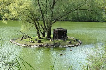 Zoo Poznań #zoo #zwierzęta