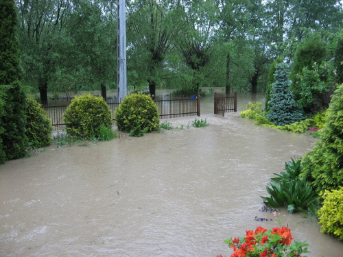 Godz. 8:00, woda na ogródku przed domem #Powódź2010 #Wisła
