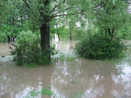 Godz. 7:43, woda za ulicą #Powódź2010 #Wisła