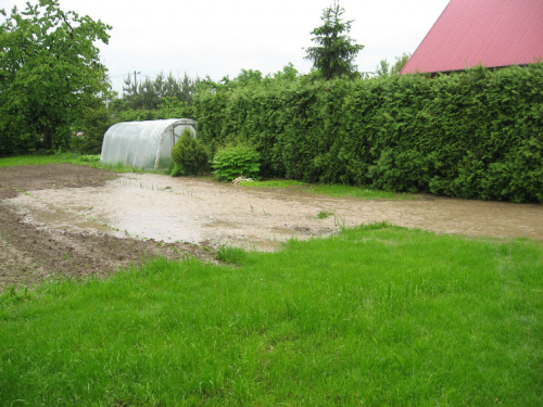 Godz. 7:53, woda wdziera się na ogród #Powódź2010 #Wisła