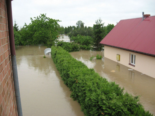 Godz. 8:28, mój żywopłot i dom sąsiada #Powódź2010 #Wisła