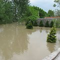 Dzień drugi - 20 maj 2010, ogródek przed domem #Powódź2010 #Wisła