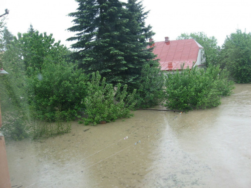 Godz. 9:23, widok na ogród i dom Mamy #Powódź2010 #Wisła