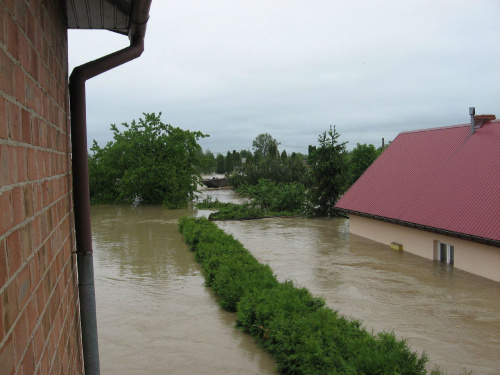 Godz. 11:23, żywopłot i dom sąsiada #Powódź2010 #Wisła