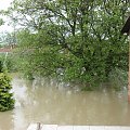 Dzień drugi - 20 maj 2010, zalane podwórze, około 250 cm wody #Powódź2010 #Wisła