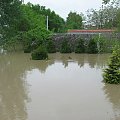 Godz. 17:43, ogródek przed domem i bud. gospodarcze #Powódź2010 #Wisła