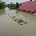 Godz. 15:35, dom sąsiada #Powódź2010 #Wisła