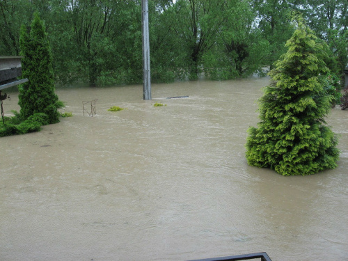 Godz. 9:19, woda coraz wyżej, ok. 150 cm na ulicy #Powódź2010 #Wisła
