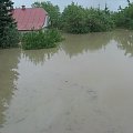 Godz. 15:32, ogród i dom Mamy #Powódź2010 #Wisła