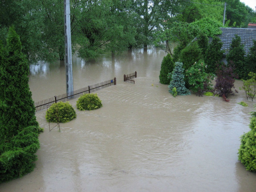 Godz. 8:28, ogródek przed domem #Powódź2010 #Wisła