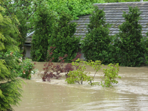 Godz. 10:40, przed domem #Powódź2010 #Wisła